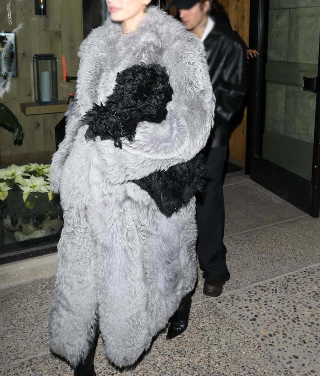 Hailey Bieber Grey Fur Coat (4)