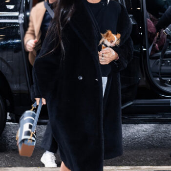 Demi Moore Long Black Fur Coat-1